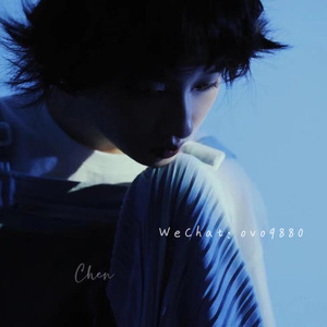 天天做天天爱天天影视综合
