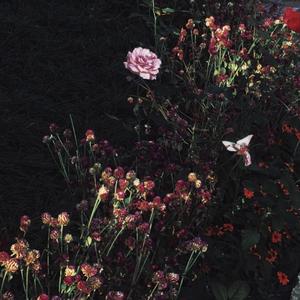 天天做天天爱天天影视综合
