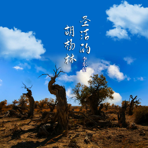 天天做天天爱天天影视综合
