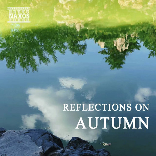 天天做天天爱天天影视综合
